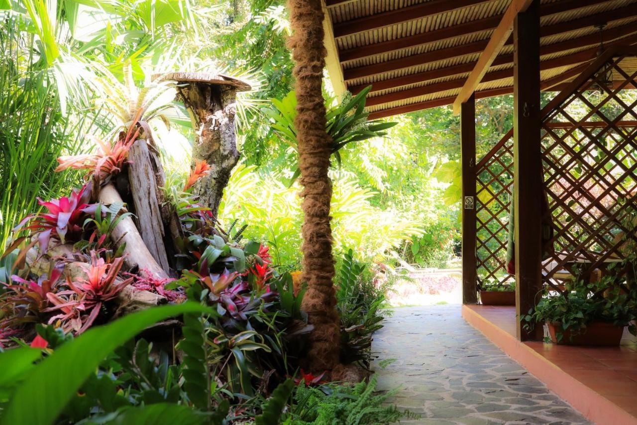 Hotel Casa Merlin Puerto Viejo de Talamanca Eksteriør billede