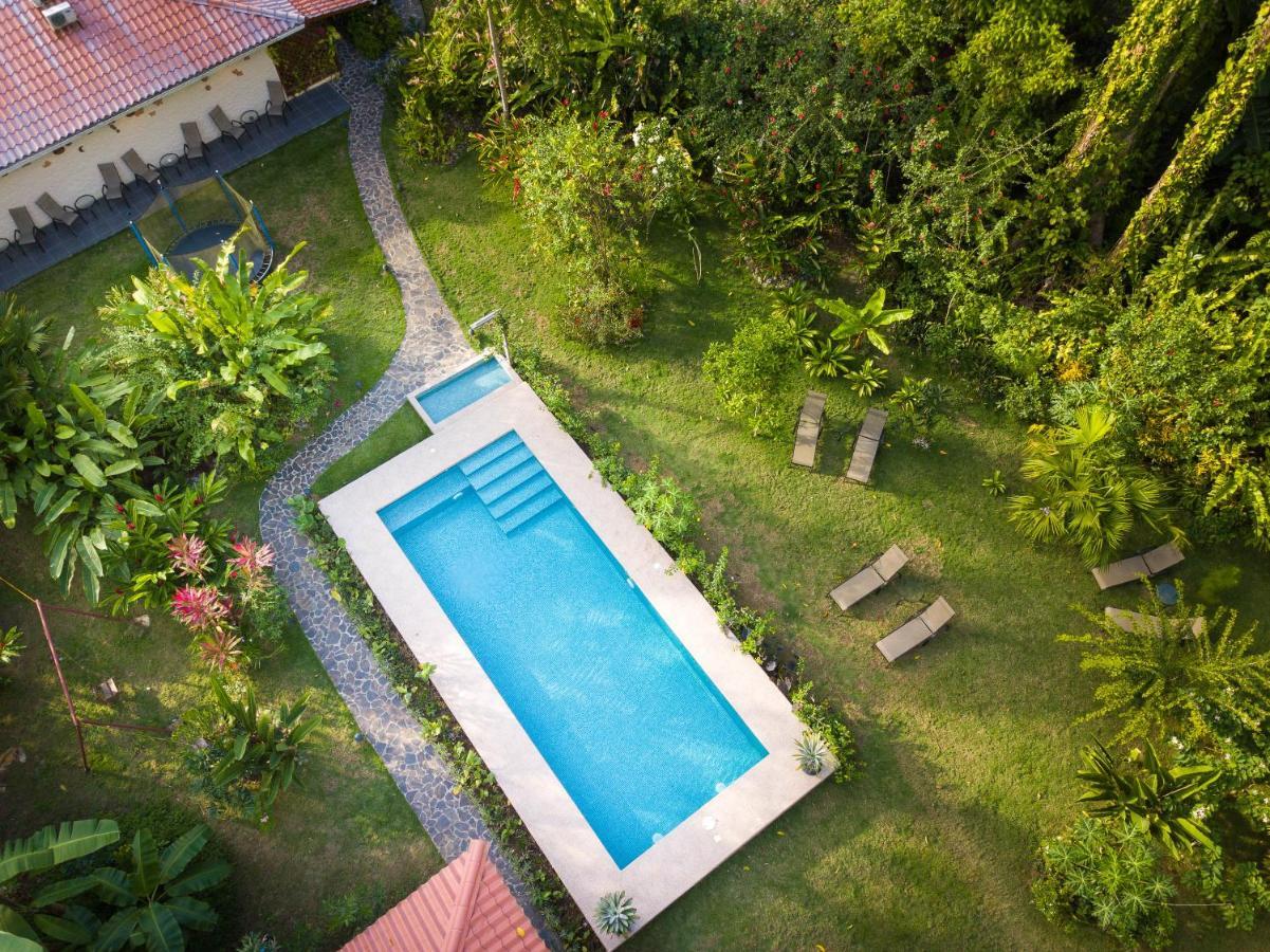 Hotel Casa Merlin Puerto Viejo de Talamanca Eksteriør billede