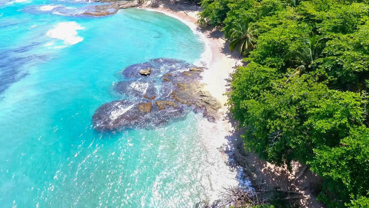 Hotel Casa Merlin Puerto Viejo de Talamanca Eksteriør billede