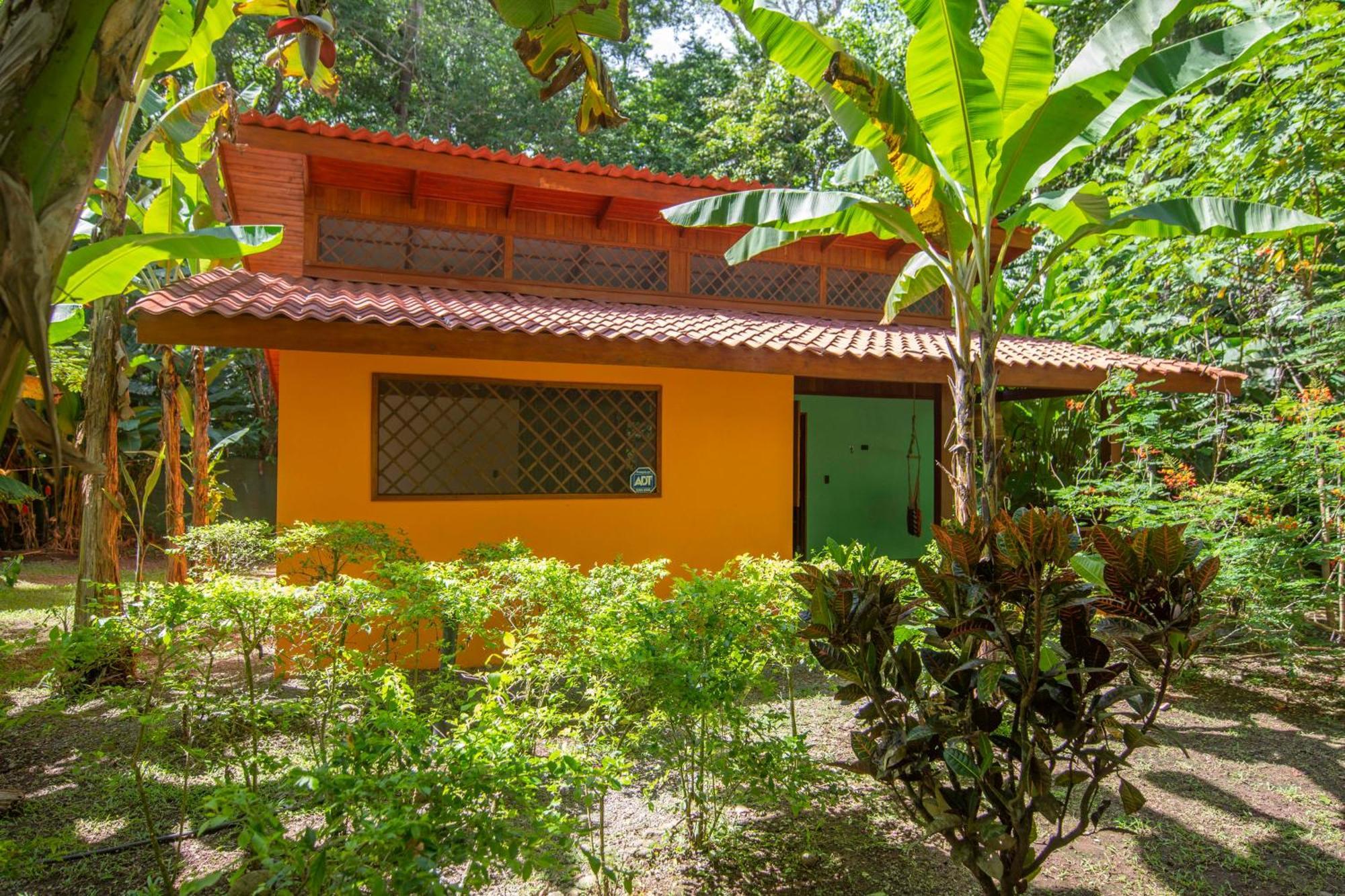 Hotel Casa Merlin Puerto Viejo de Talamanca Værelse billede