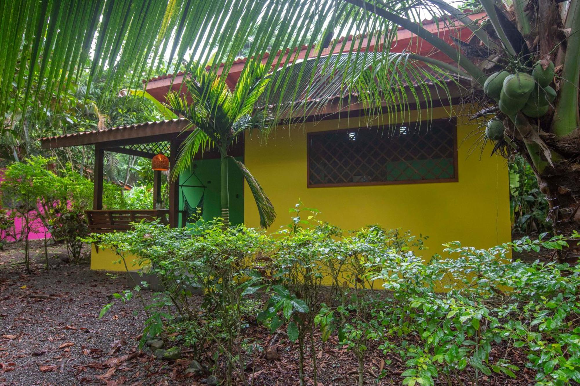 Hotel Casa Merlin Puerto Viejo de Talamanca Værelse billede