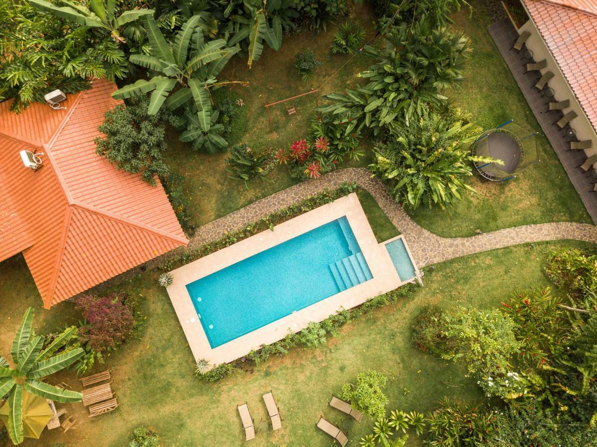 Hotel Casa Merlin Puerto Viejo de Talamanca Eksteriør billede